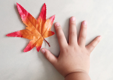 音楽大学、音楽理論,  五線定規、音楽ノート,音楽ギフト,発表会記念品